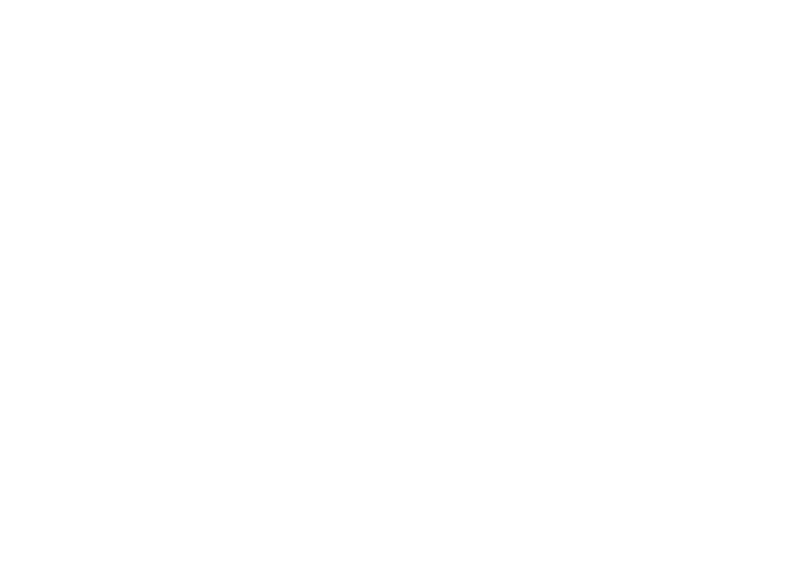 Digital marketing agency-DNA